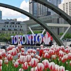 Meet your Posher, Martina